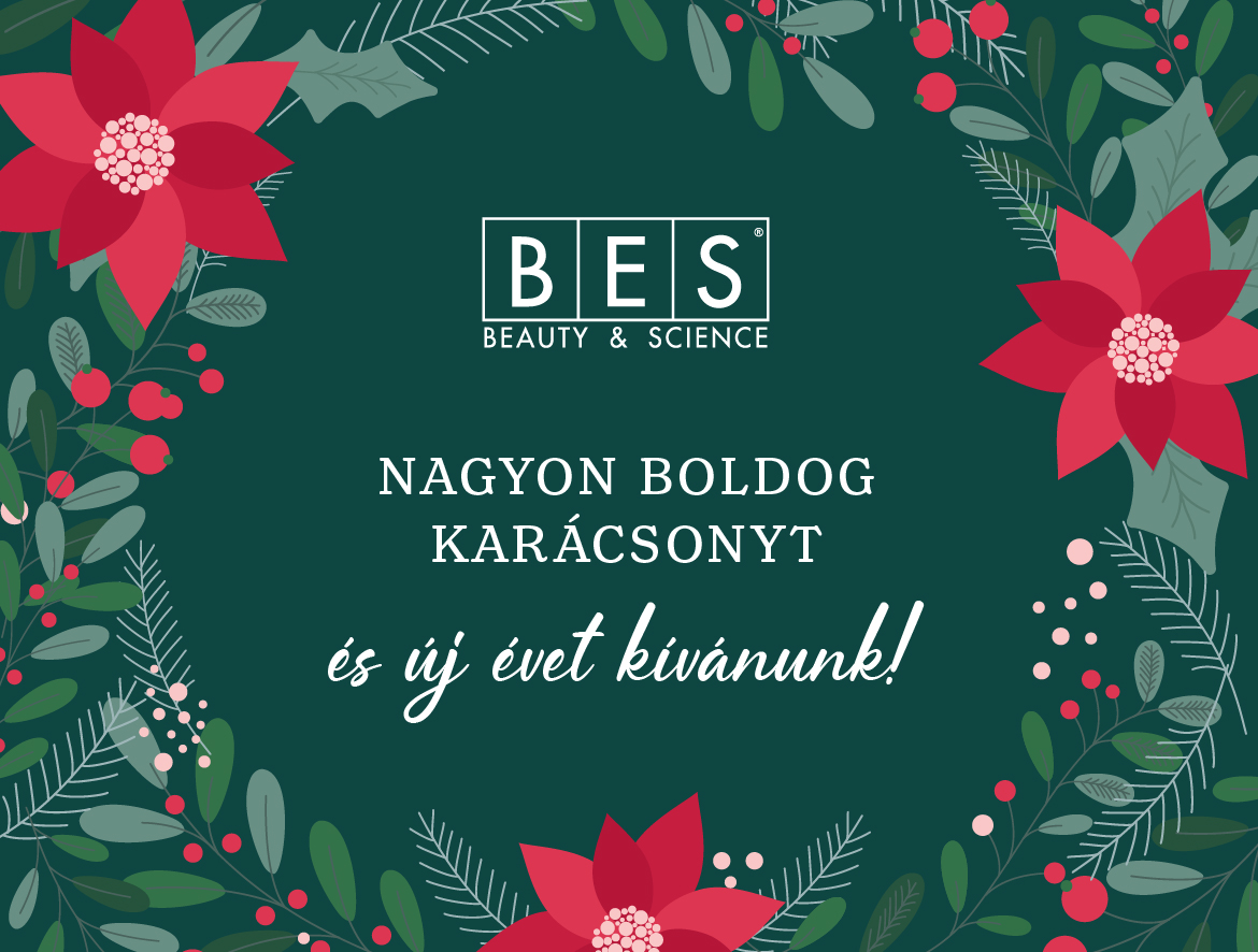 Meghitt Karácsonyt és Boldog Új Évet kíván a BES Hungary!